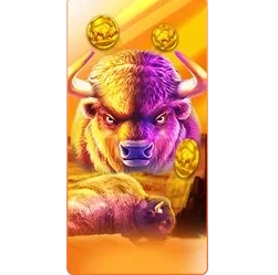 Buffalo
King